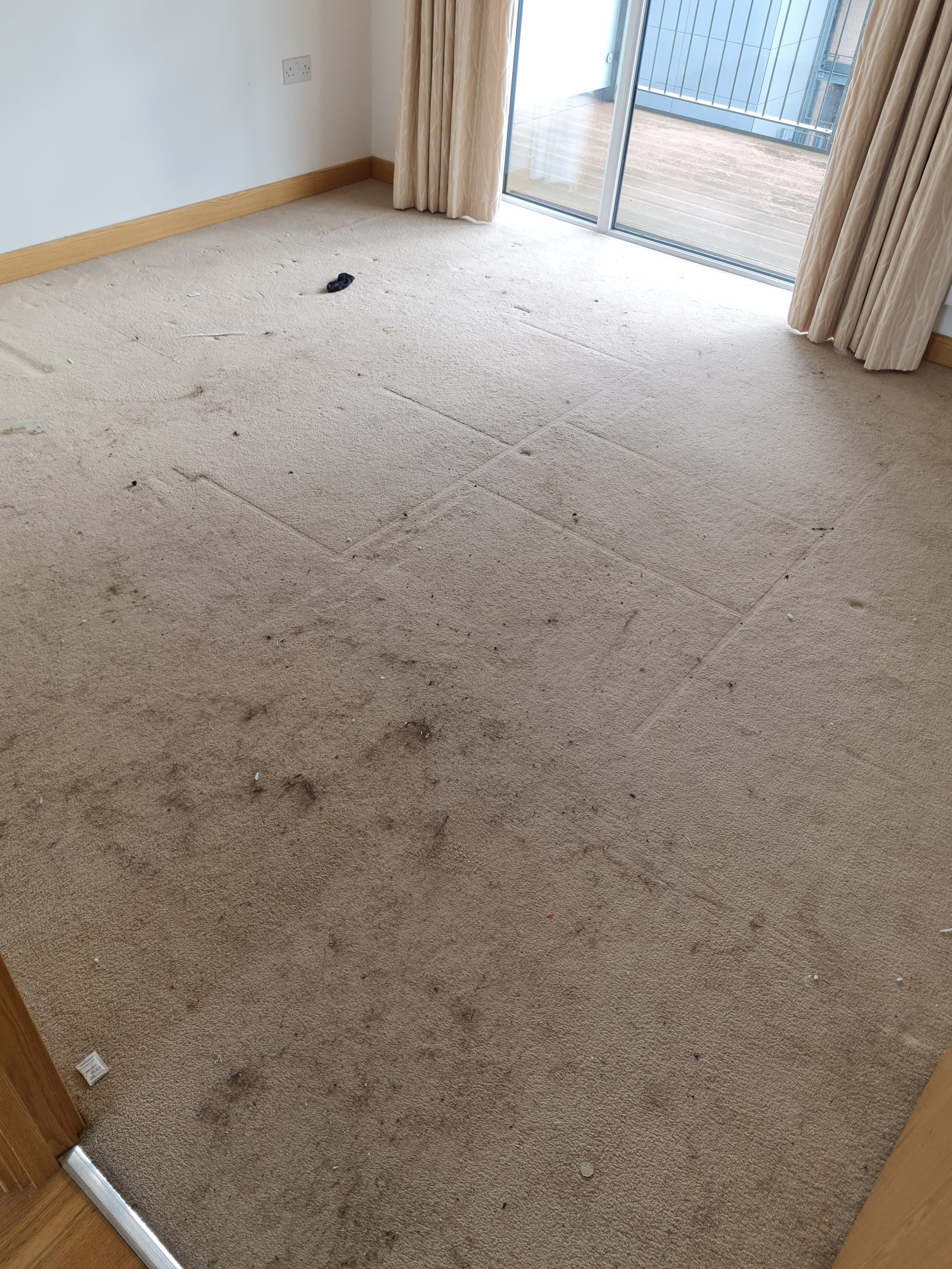 lounge carpet before cleaning in Colchester house