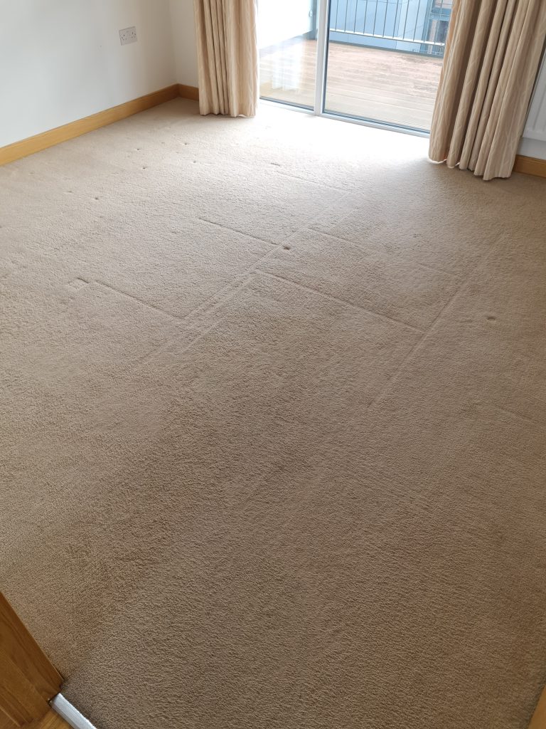 lounger carpet after cleaning in Colchester house