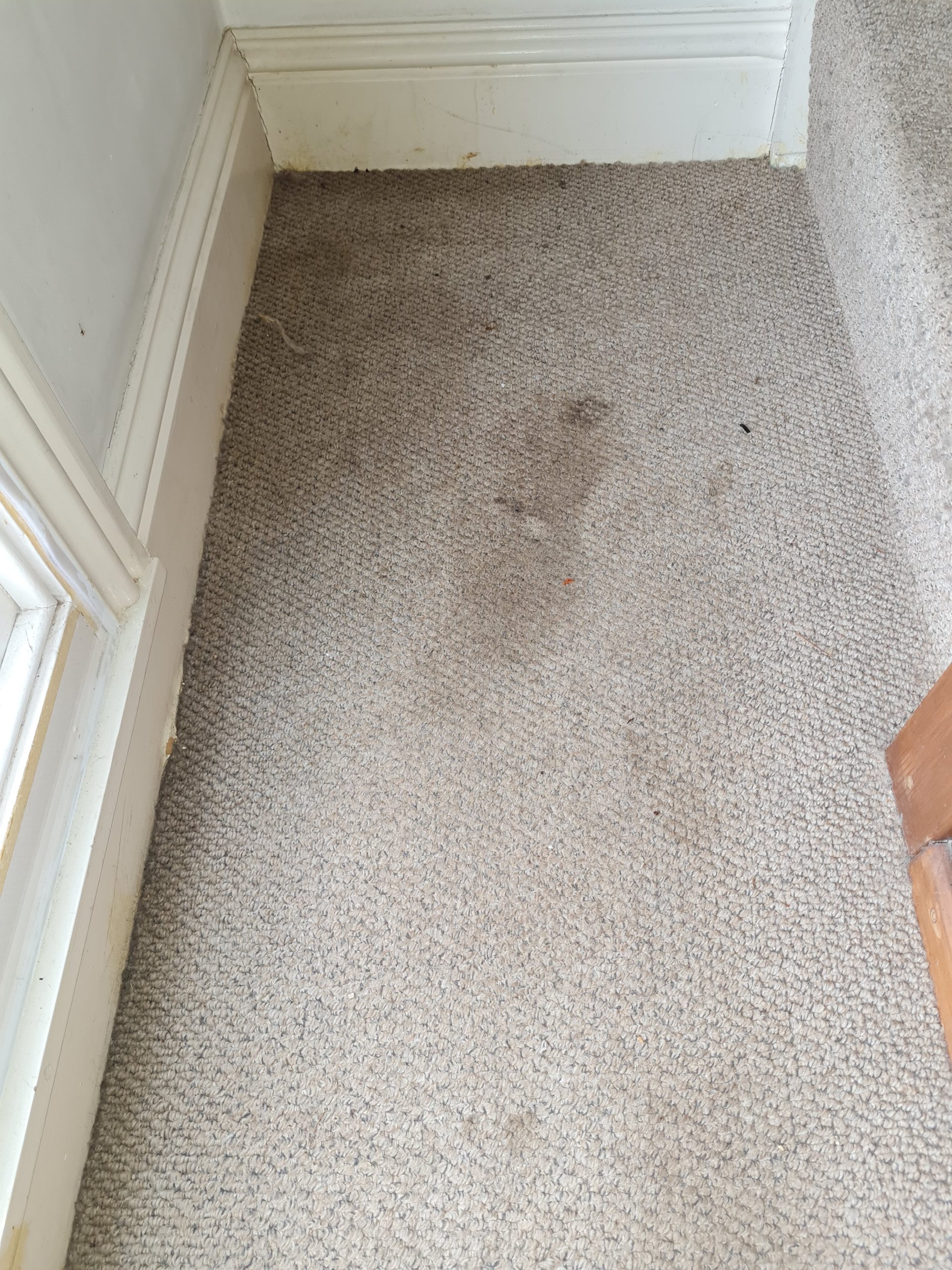 dirty hall carpet in Colchester house