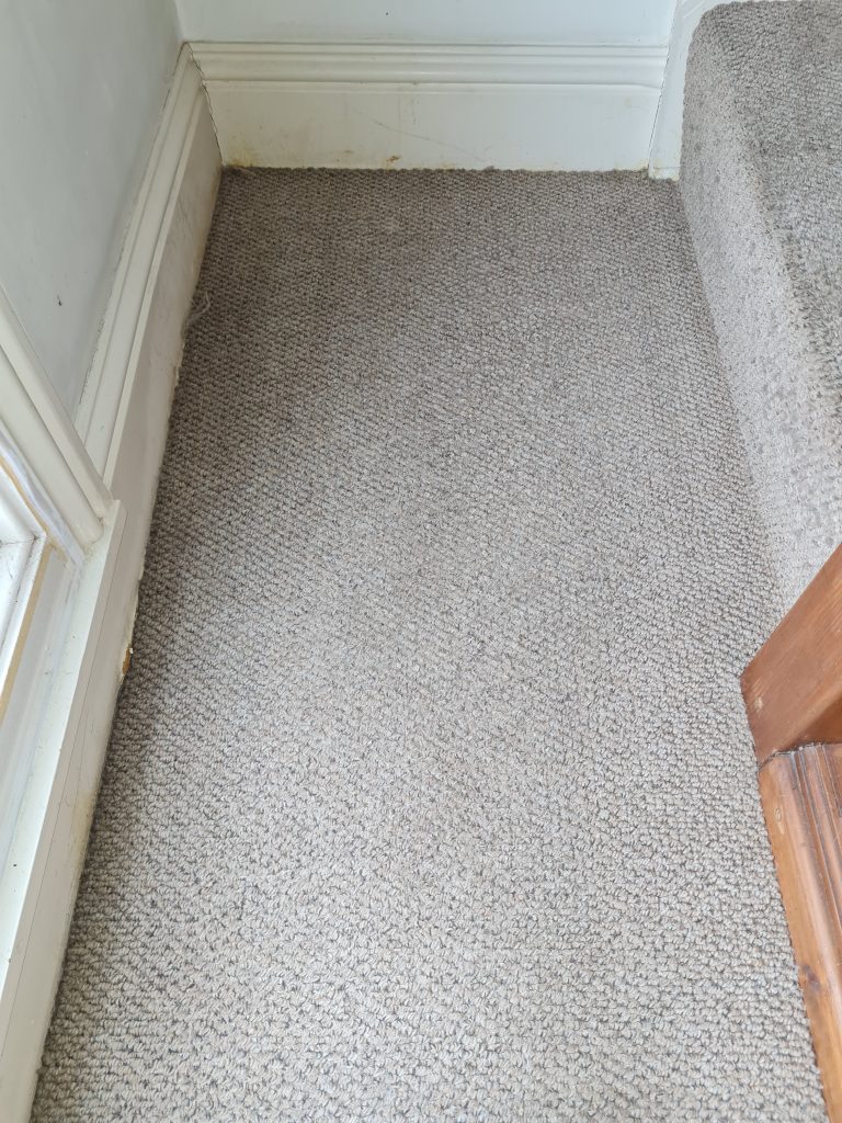 Hallway carpet after cleaning in Colchester house