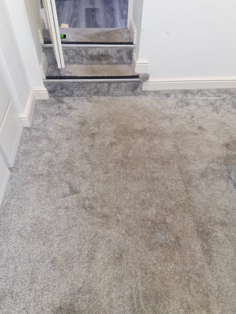 Dirty bedroom carpet in Colchester house