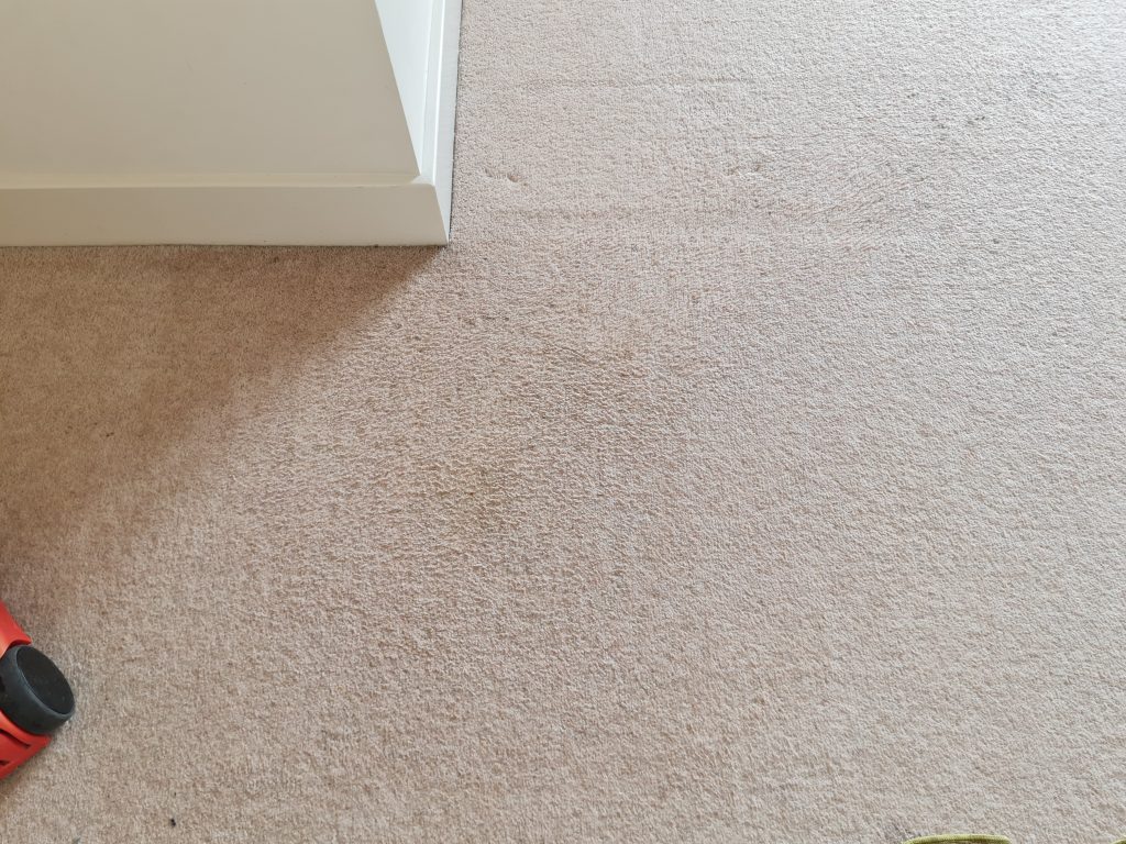 carpet without stain in Colchester house